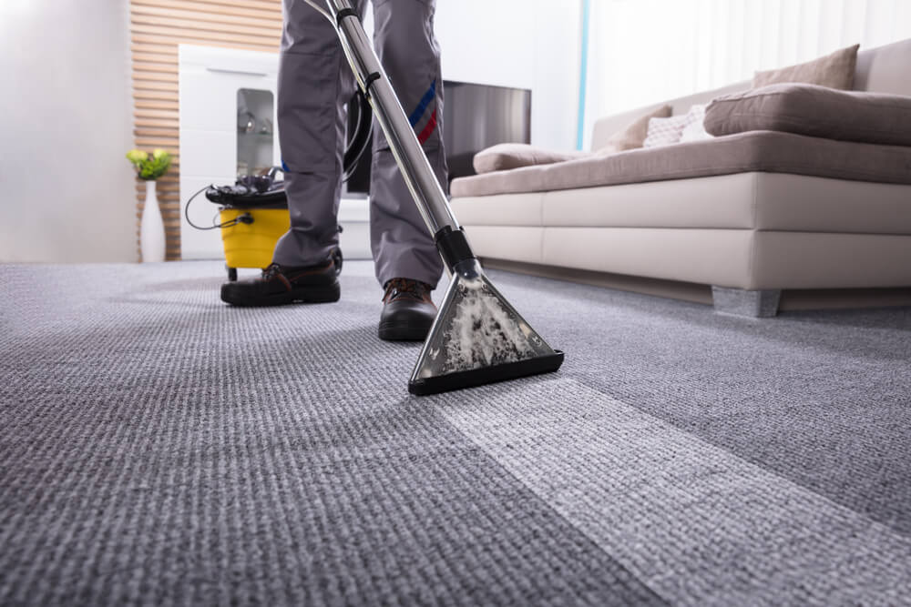 Carpet & Rug Cleaning